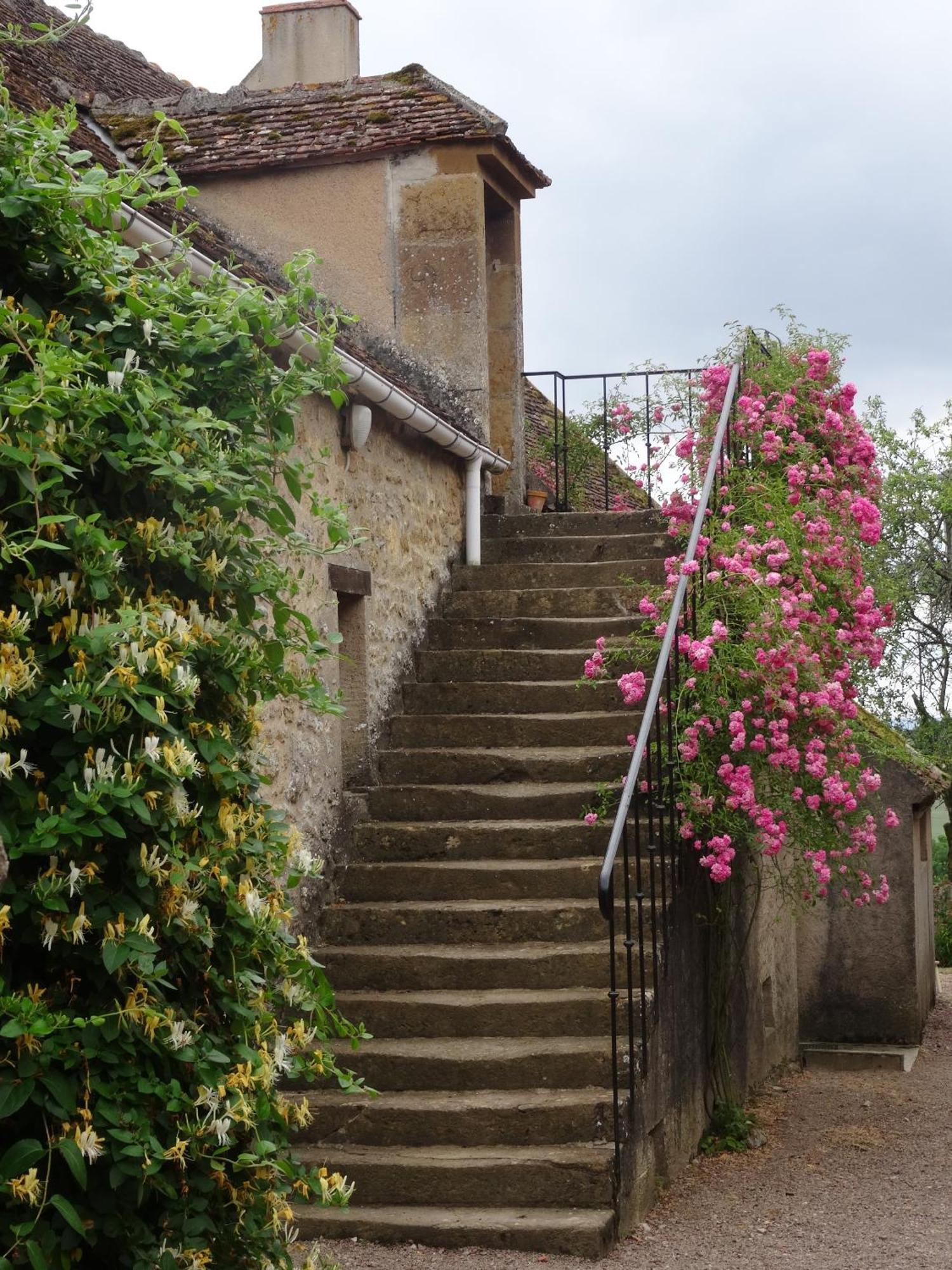 Bed and Breakfast Domaine De Dremont Anthien Exterior foto